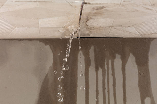 Professional Water Damage Inspection technician working in Lake Worth, TX